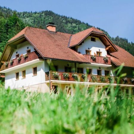 Na Logu - Farm Stay Ambroz Gregorc Солчава Экстерьер фото