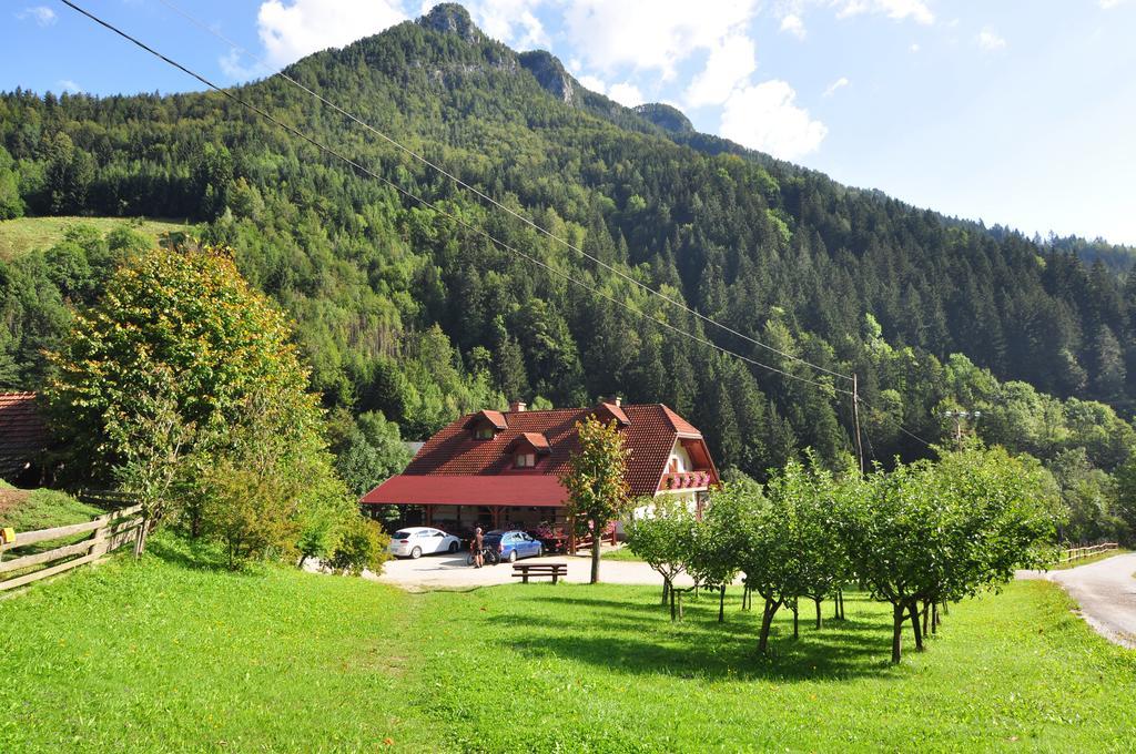 Na Logu - Farm Stay Ambroz Gregorc Солчава Экстерьер фото