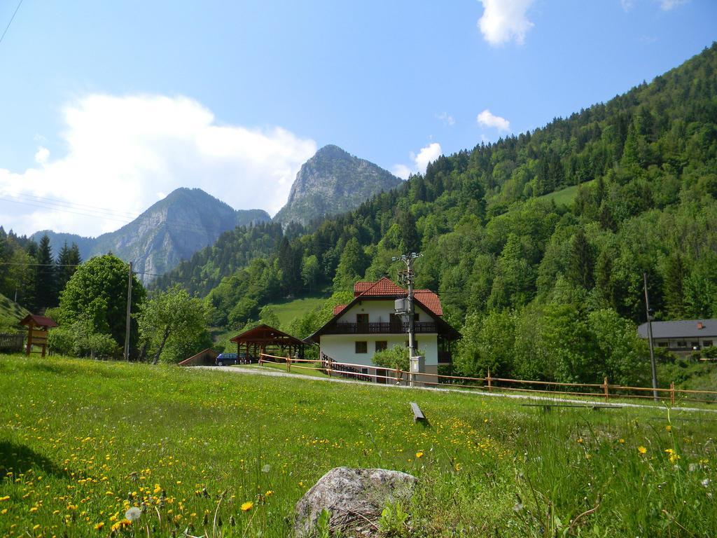 Na Logu - Farm Stay Ambroz Gregorc Солчава Экстерьер фото