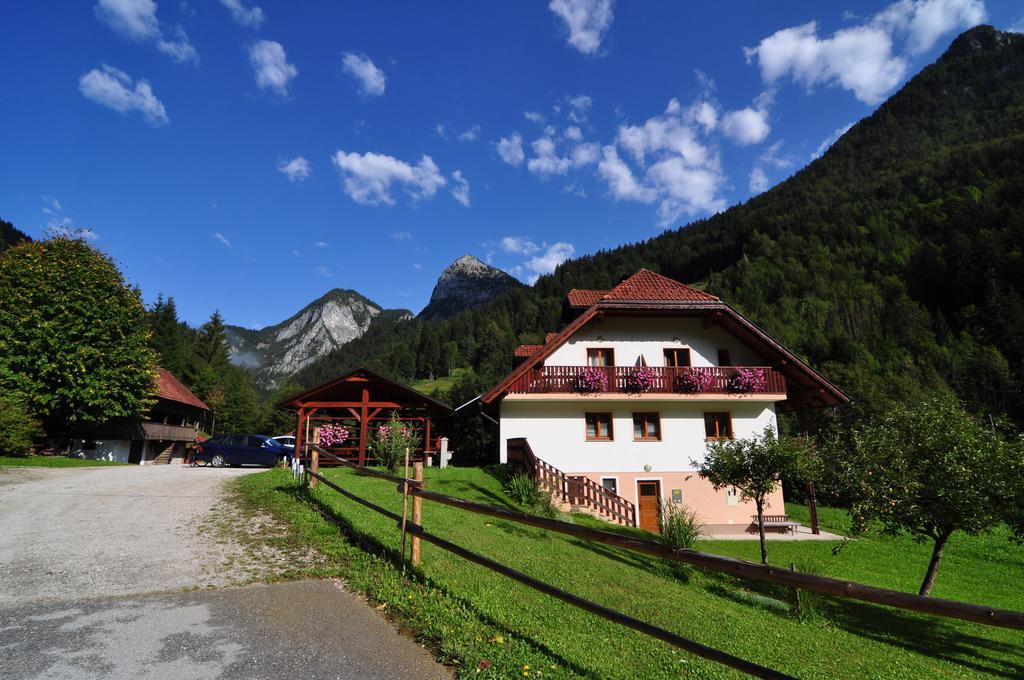 Na Logu - Farm Stay Ambroz Gregorc Солчава Экстерьер фото